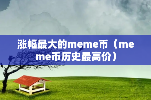 涨幅最大的meme币（meme币历史最高价）