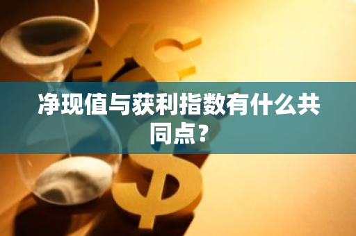 净现值与获利指数有什么共同点？