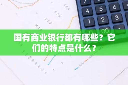 国有商业银行都有哪些？它们的特点是什么？