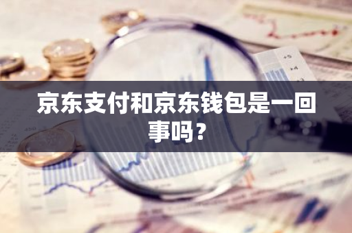 京东支付和京东钱包是一回事吗？