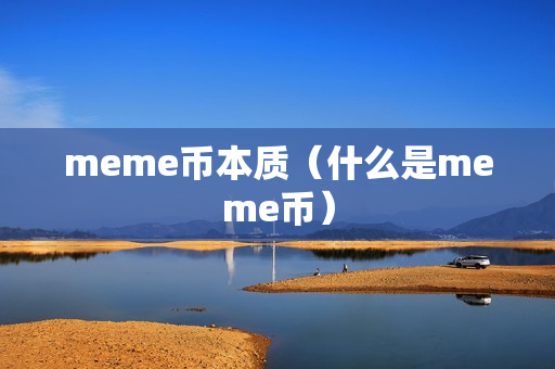 meme币本质（什么是meme币）