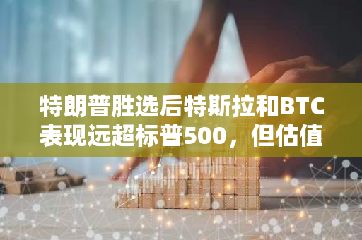 特朗普胜选后特斯拉和BTC表现远超标普500，但估值问题愈发复杂