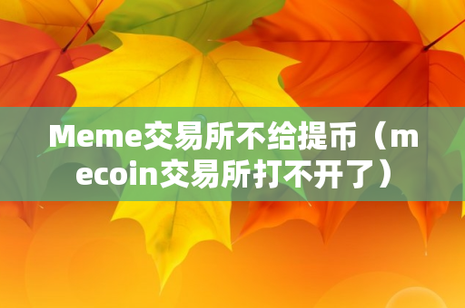 Meme交易所不给提币（mecoin交易所打不开了）