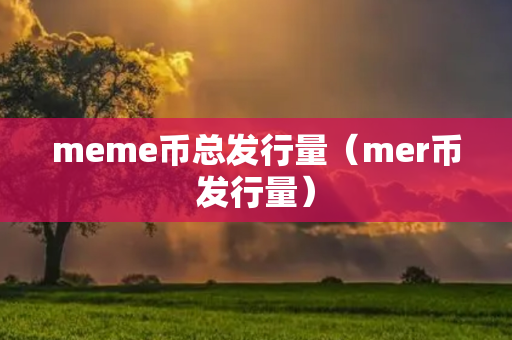 meme币总发行量（mer币发行量）