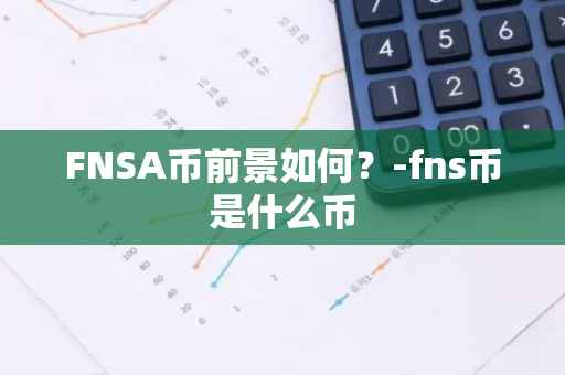 FNSA币前景如何？-fns币是什么币