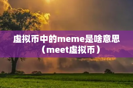 虚拟币中的meme是啥意思（meet虚拟币）