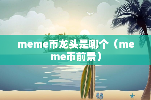 meme币龙头是哪个（meme币前景）