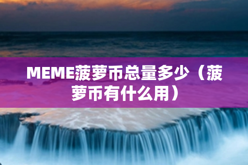 MEME菠萝币总量多少（菠萝币有什么用）