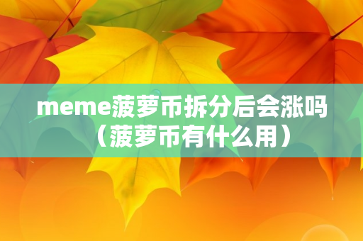 meme菠萝币拆分后会涨吗（菠萝币有什么用）