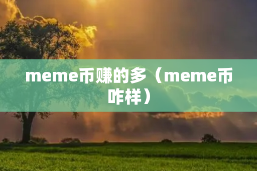 meme币赚的多（meme币咋样）