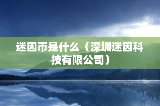 迷因币是什么（深圳迷因科技有限公司）