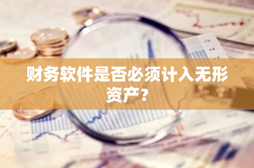 财务软件是否必须计入无形资产？