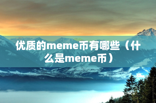 优质的meme币有哪些（什么是meme币）