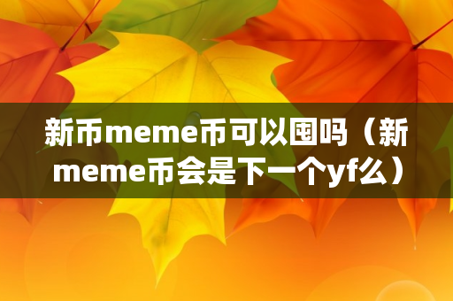 新币meme币可以囤吗（新meme币会是下一个yf么）