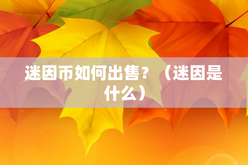 迷因币如何出售？（迷因是什么）