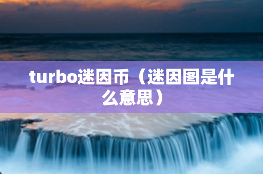 turbo迷因币（迷因图是什么意思）