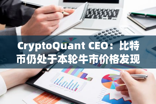 CryptoQuant CEO：比特币仍处于本轮牛市价格发现的早期阶段