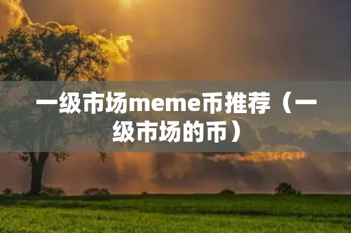 一级市场meme币推荐（一级市场的币）