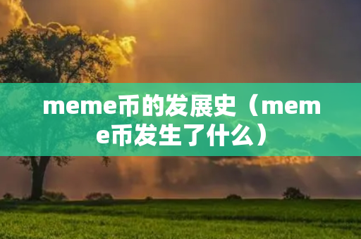 meme币的发展史（meme币发生了什么）