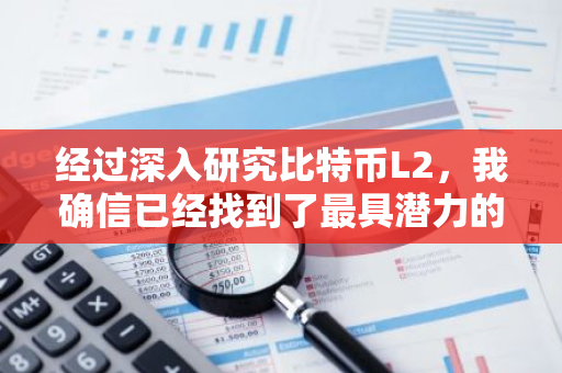 经过深入研究比特币L2，我确信已经找到了最具潜力的“赢家”