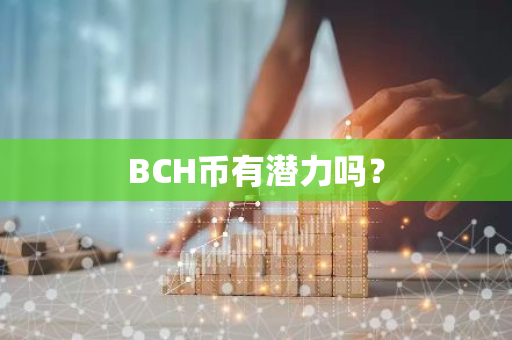 BCH币有潜力吗？