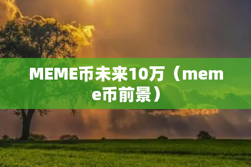 MEME币未来10万（meme币前景）