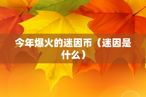 今年爆火的迷因币（迷因是什么）