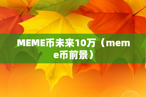 MEME币未来10万（meme币前景）