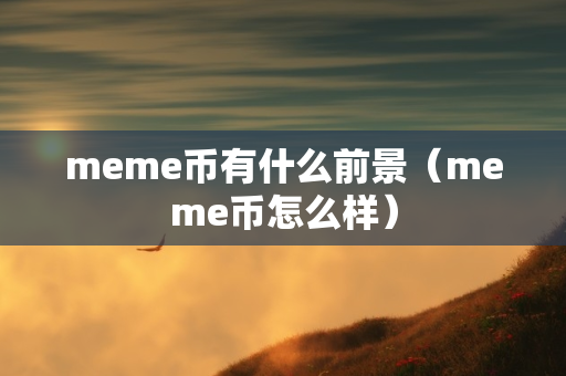 meme币有什么前景（meme币怎么样）