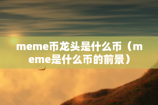 meme币龙头是什么币（meme是什么币的前景）