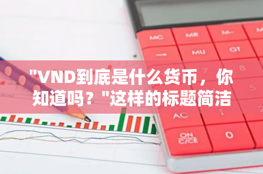 "VND到底是什么货币，你知道吗？"这样的标题简洁明了，口语化且符合提问的语境。