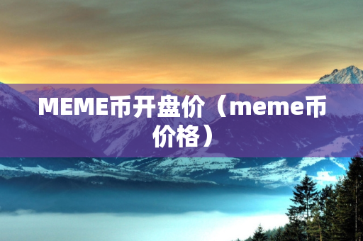 MEME币开盘价（meme币价格）