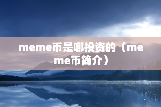 meme币是哪投资的（meme币简介）