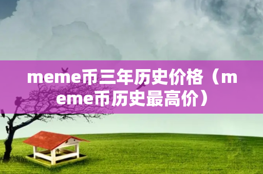 meme币三年历史价格（meme币历史最高价）