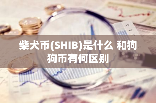 柴犬币(SHIB)是什么 和狗狗币有何区别