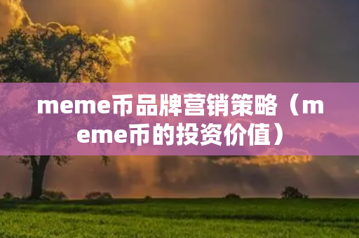 meme币品牌营销策略（meme币的投资价值）