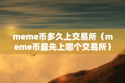 meme币多久上交易所（meme币最先上哪个交易所）