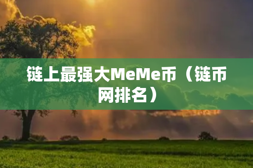 链上最强大MeMe币（链币网排名）