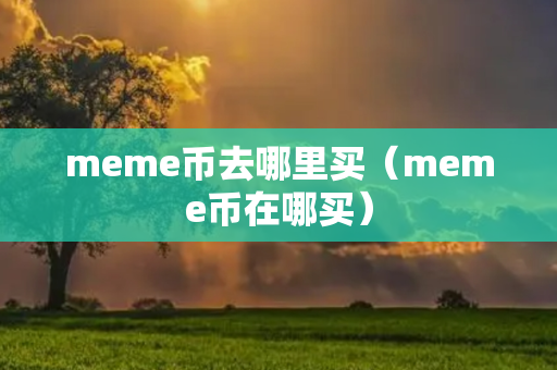 meme币去哪里买（meme币在哪买）