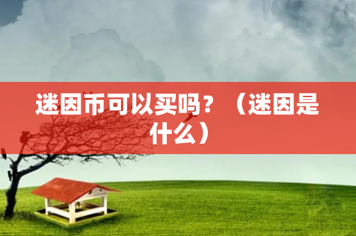 迷因币可以买吗？（迷因是什么）