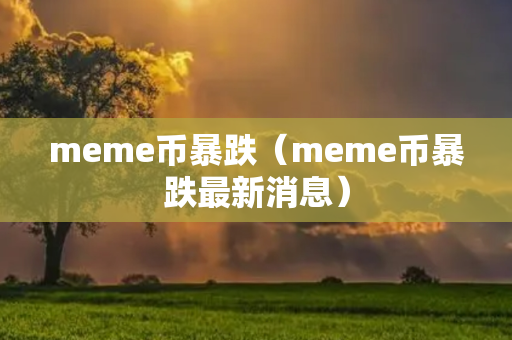 meme币暴跌（meme币暴跌最新消息）