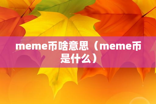 meme币啥意思（meme币是什么）