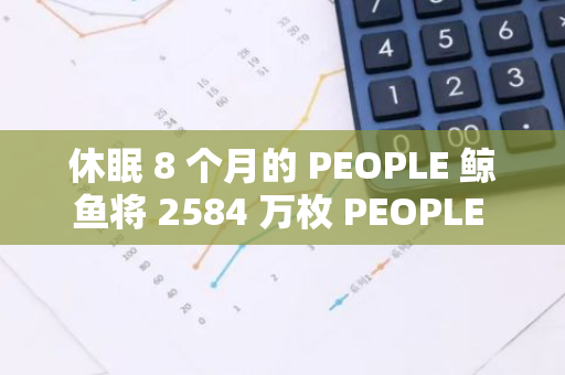 休眠 8 个月的 PEOPLE 鲸鱼将 2584 万枚 PEOPLE 存入币安，获利 41.7 万美元