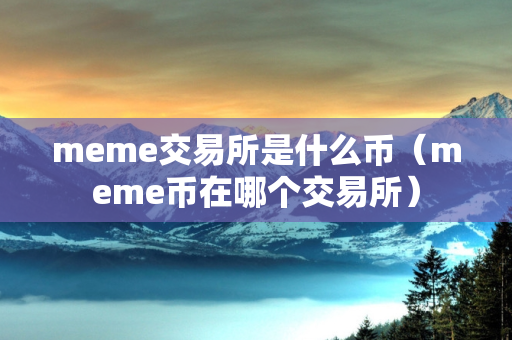 meme交易所是什么币（meme币在哪个交易所）