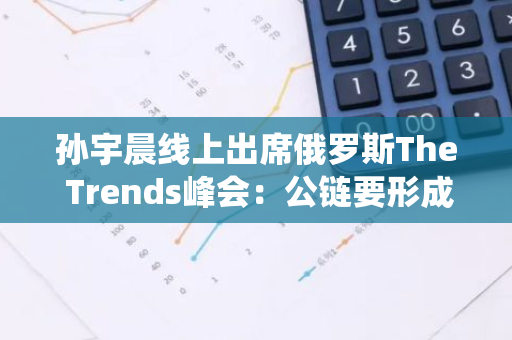 孙宇晨线上出席俄罗斯The Trends峰会：公链要形成系统化的生态布局