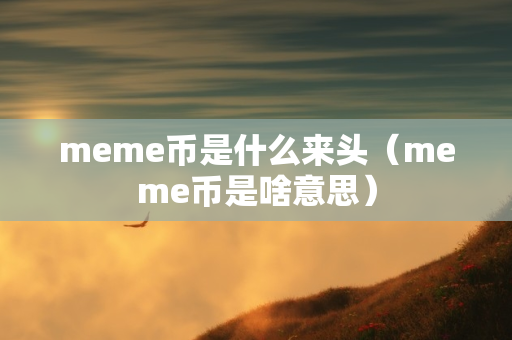 meme币是什么来头（meme币是啥意思）