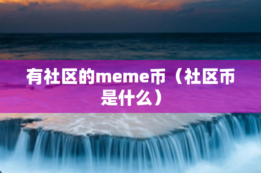 有社区的meme币（社区币是什么）