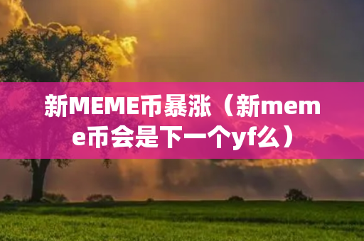 新MEME币暴涨（新meme币会是下一个yf么）