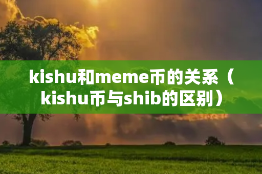 kishu和meme币的关系（kishu币与shib的区别）