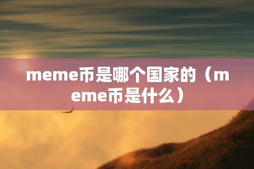 meme币是哪个国家的（meme币是什么）